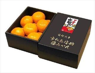 0101 宇和島復興福みかん_R.jpg
